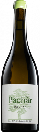 2024 Pàchar Toscana IGP Bio - Fattoria Lavacchio