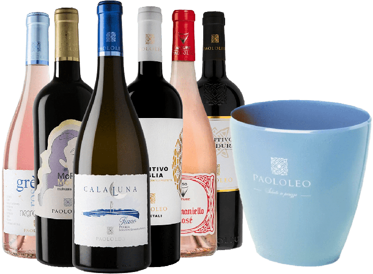 Glacette Sommer-Kennenlern-Paket - Cantine Paololeo