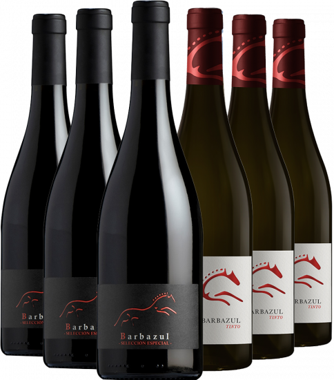 Huerta de Albalá Rotwein Kennenlern-Paket Cádiz VT - Huerta de Albalá