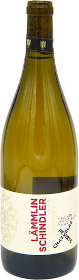 2023 Mauchen Gutedel Chasselas Réserve Ortswein trocken Bio - Weingut Lämmlin-Schindler
