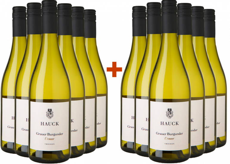 6+6 Paket Urmeer Grauburgunder - Weingut Hauck
