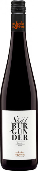 2023 Spätburgunder Rotwein trocken - Weingut sechzehn ein&vierzig