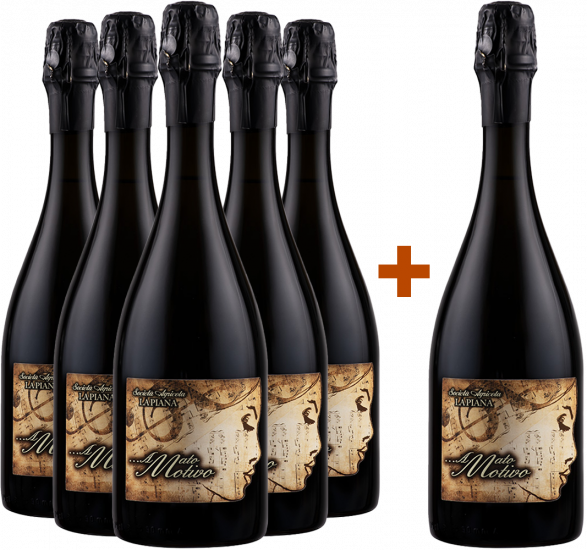 5+1 Paket Amato Motivo BIO Bio - La Piana Winery