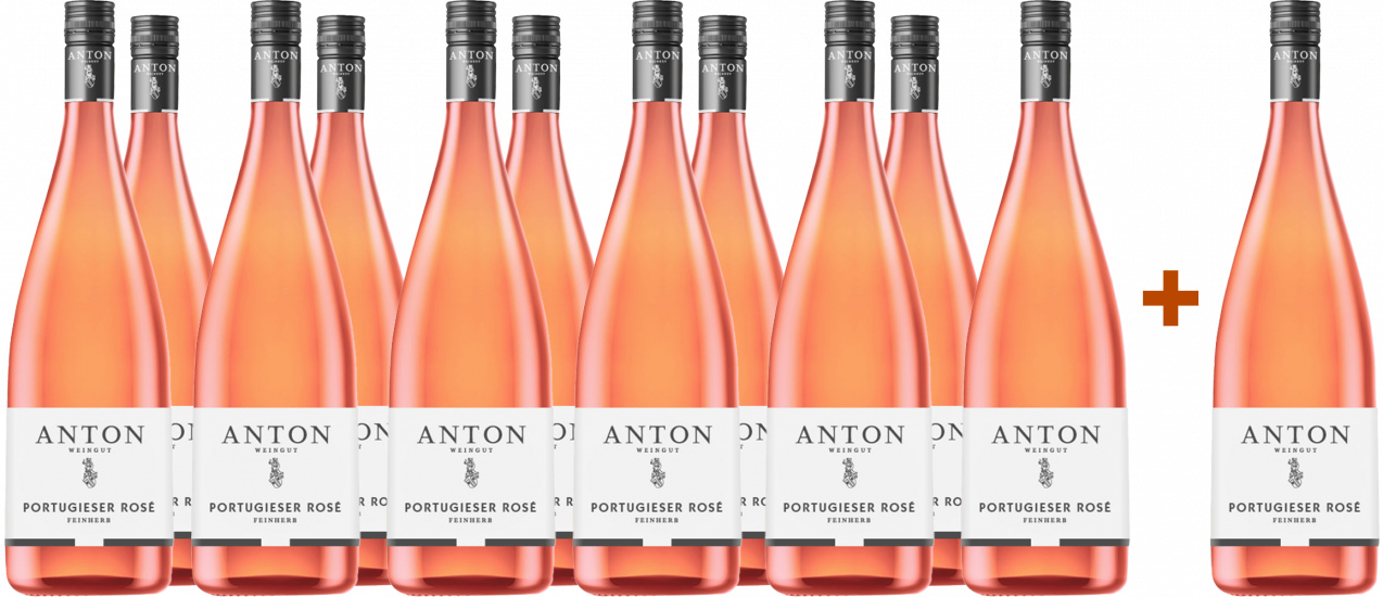 11+1 2024 Portugieser Rosé Weißherbst - Weingut Anton