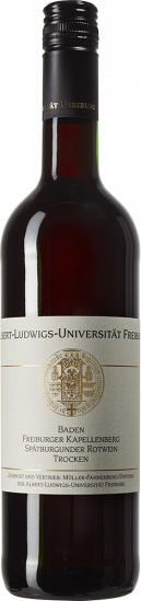 2022 Spätburgunder Rotwein Freiburger Kapellenberg trocken - Winzerhof Ebringen