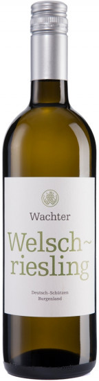 2021 Welschriesling trocken - Wachter Wein