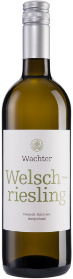 2025 Welschriesling trocken - Wachter Wein