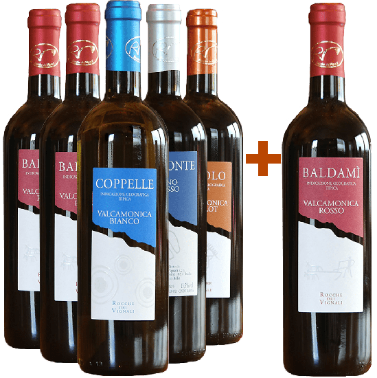 5+1 Kennenlern-Paket Rocche dei Vignali - Rocche dei Vignali