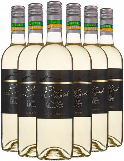 Aktionspaket Junger Dürnleiser 2025 - BIO Weinbau Müllner