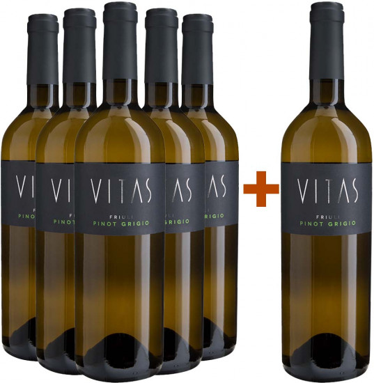5+1 Paket Pinot Grigio Friuli DOC trocken - Villa Vitas