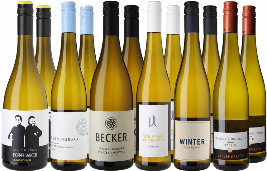 Großes Weißburgunder Entdecker-Paket 