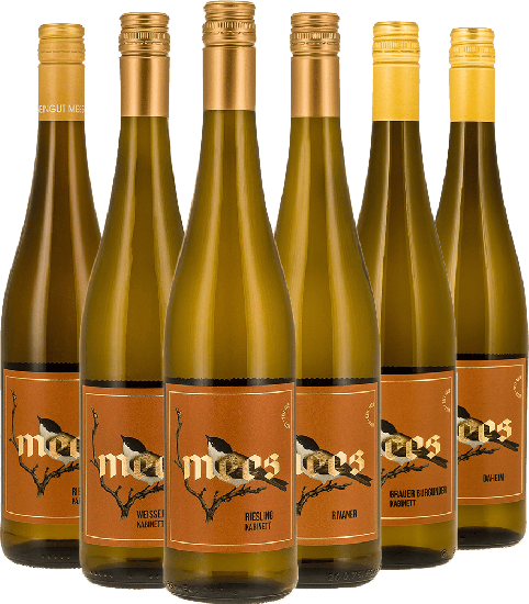 Probierpaket Weißweine feinherb - Weingut Mees