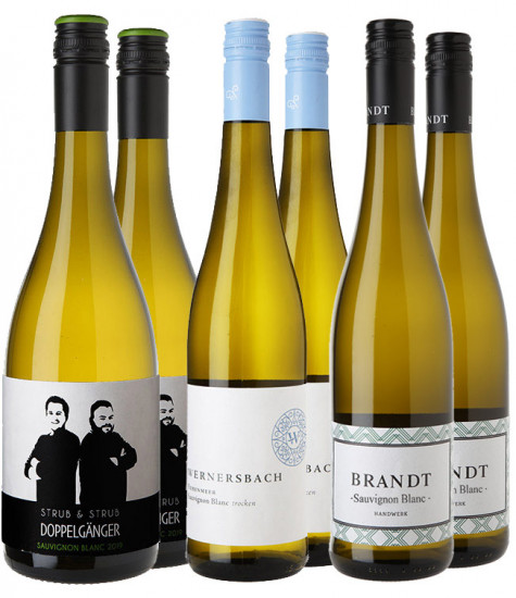 Sauvignon Blanc Entdecker-Paket