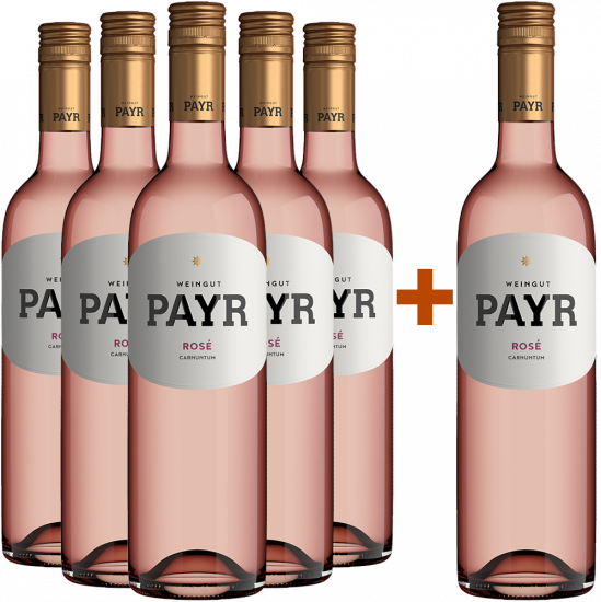 5+1 Rosé ÖTW Gutswein BIO Bio - Bio Weingut Robert Payr