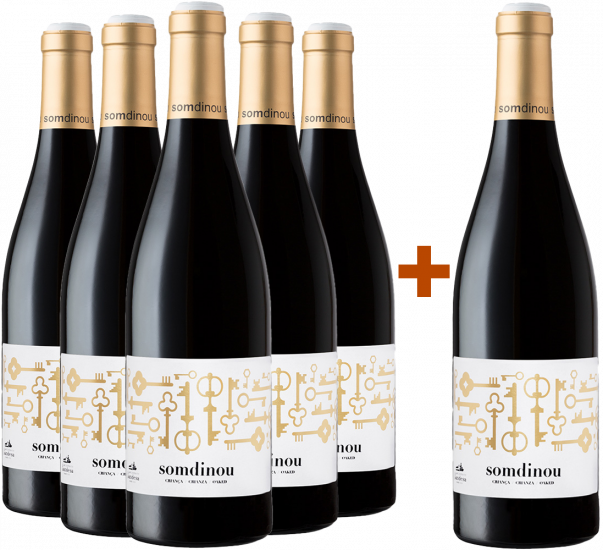 5+1 Somdinou Tinto Crianza Terra Alta DO Bio - Cooperativa de Gandesa