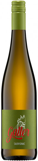 2023 Sauvignac trocken Bio - Weingut Galler