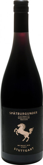 2021 Spätburgunder Stuttgarter Mönchhalde Barrique trocken - Weingut der Stadt Stuttgart