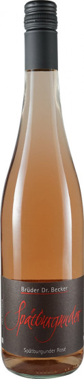 2024 Spätburgunder rosé VDP.GUTSWEIN trocken Bio - Weingut Brüder Dr. Becker