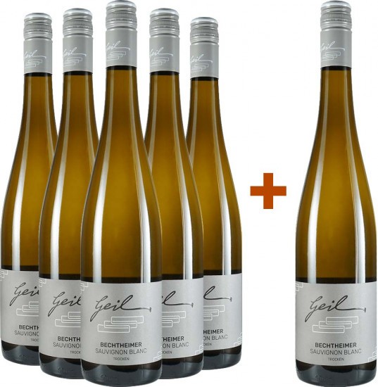 5+1 Sauvignon Blanc Paket - Weingut Helmut Geil