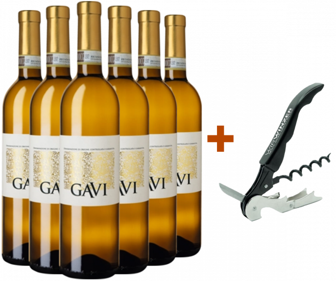 Italiens Weißwein-Schatz 