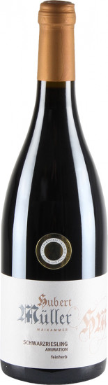2023 Schwarzriesling Animation feinherb - Weingut Hubert Müller