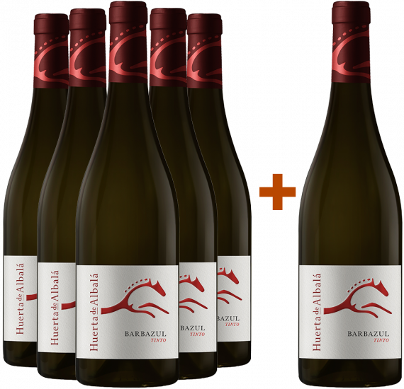 Barbazul Tinto 5+1 Aktionspaket Cádiz VT - Huerta de Albalá