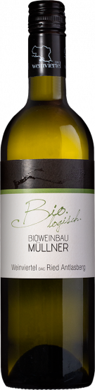 2025 Weinviertel DAC Antlasbergen trocken Bio - BIO Weinbau Müllner