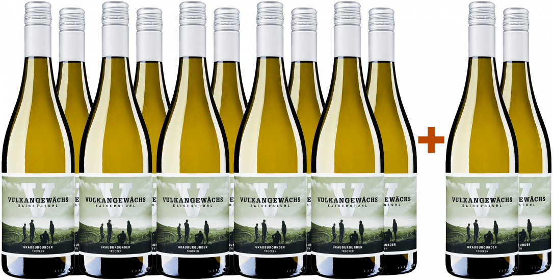 10+2 Paket Vulkangewächs Grauburgunder - Oberrotweiler Winzerverein