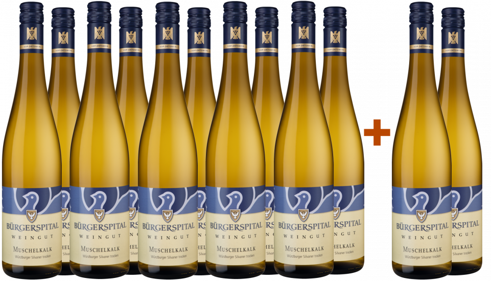 Großes Würzburger Silvaner Muschelkalk-Paket - Stiftung Bürgerspital zum Hl. Geist Weingut