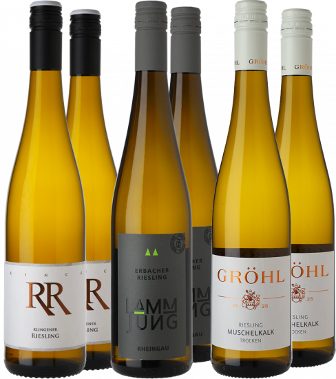 Jungwinzer Riesling-Paket - WirWinzer Spezial