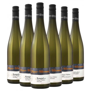 Grüner Veltliner Probierpaket - Winzerhof Mayer-Hörmann