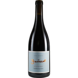2018 Bechtheimer Spätburgunder trocken - Weingut Brüssel