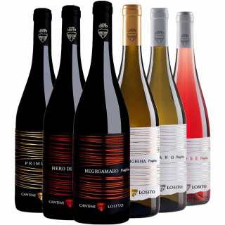 Cantine Losito Kennenlern-Paket Bio - Cantine Losito