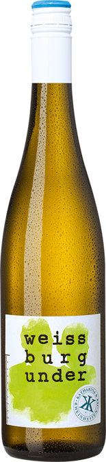 2016 Der Weißburgunder trocken - Weingut Wechsler