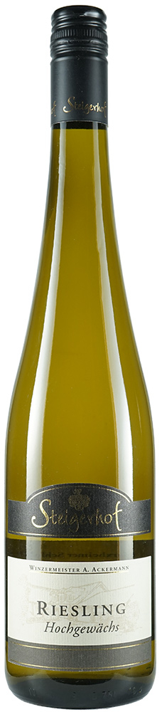 Steigerhof 2021 Riesling Hochgewächs trocken