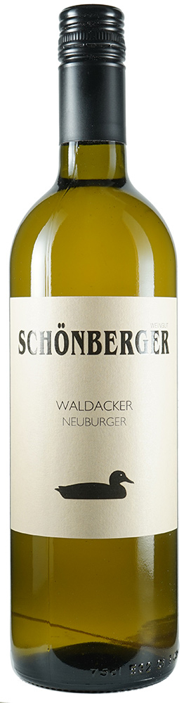 Schönberger 2019 Waldacker Neuburger trocken