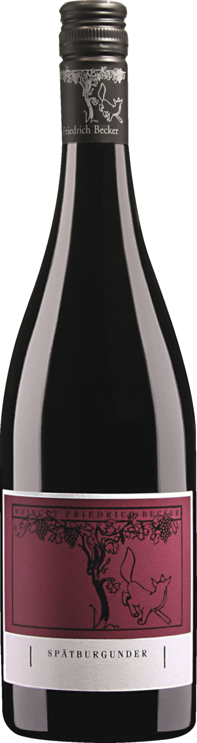 2014 Friedrich Becker Spätburgunder Trocken - Weingut Friedrich Becker