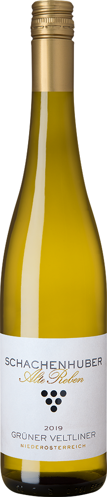 2019 Grüner Veltliner Alte Reben trocken - Weingut Schachenhuber