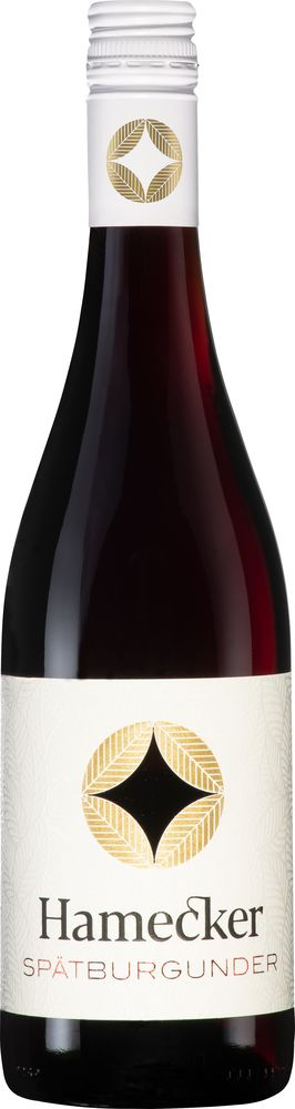 Skianto Vino Schaumwein Spirituosen besten den Spumante extra Rosé 2021 - Finde & Wein dry, für Preis