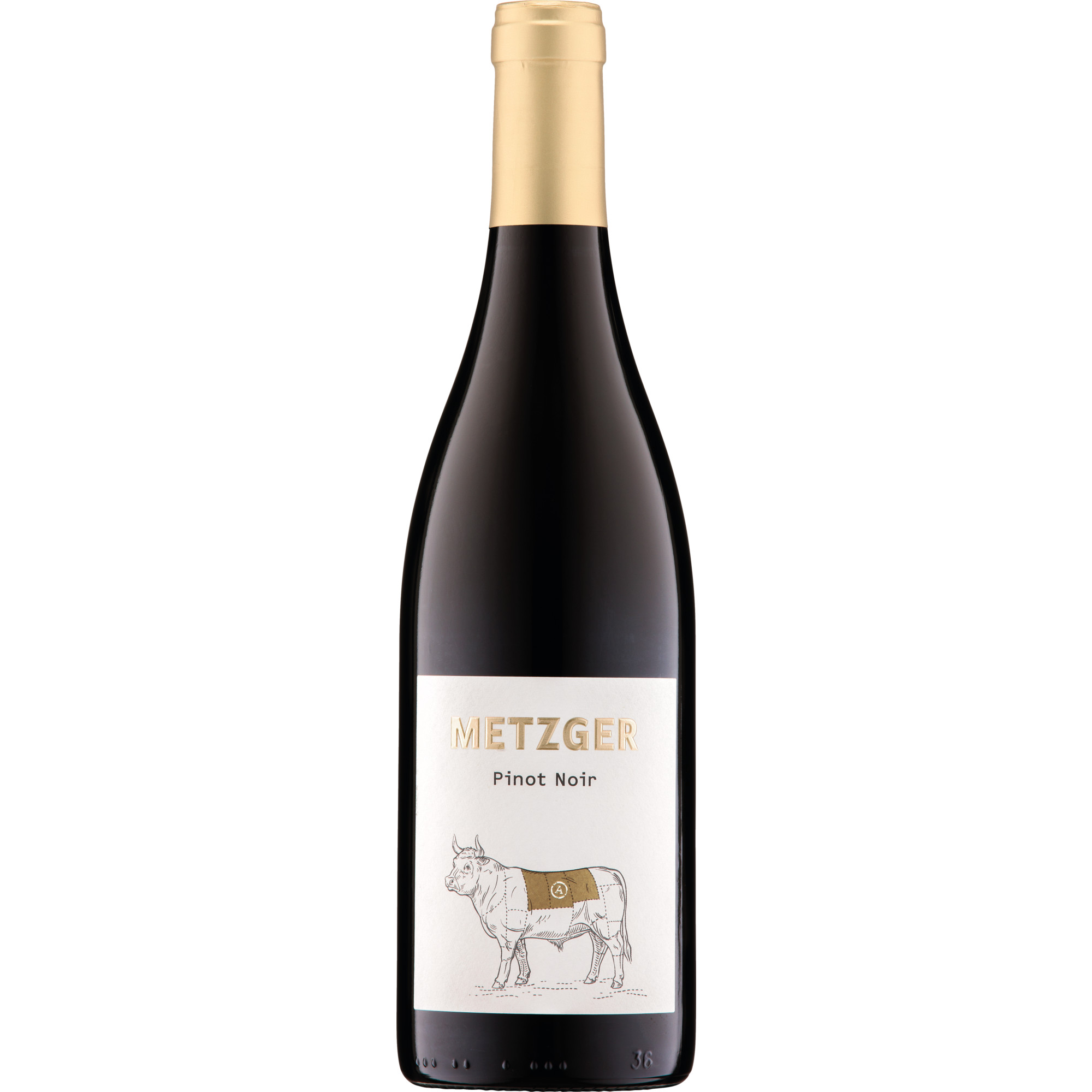 WirWinzer Select 2022 Filet Pinot Noir trocken