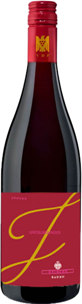 2017 Junior Spätburgunder VDP.Gutswein trocken - Weingut Stigler