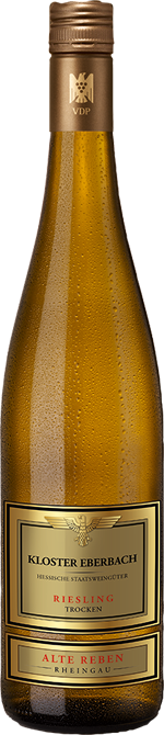 2016 Riesling trocken - Alte Reben // Kloster Eberbach