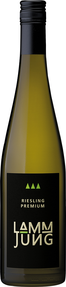 2016 Riesling Premium Spätlese trocken - Weingut Lamm-Jung