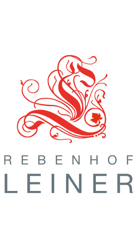 Rebenhof Leiner 2017 Regent trocken