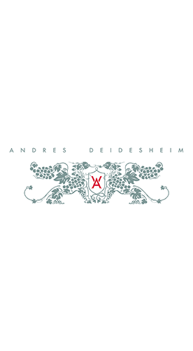 Andres Deidesheim 2022 Sauvignon blanc trocken