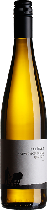 2017 Pflüger Sauvignon Blanc vom Quarzit trocken - Weingut Pflüger