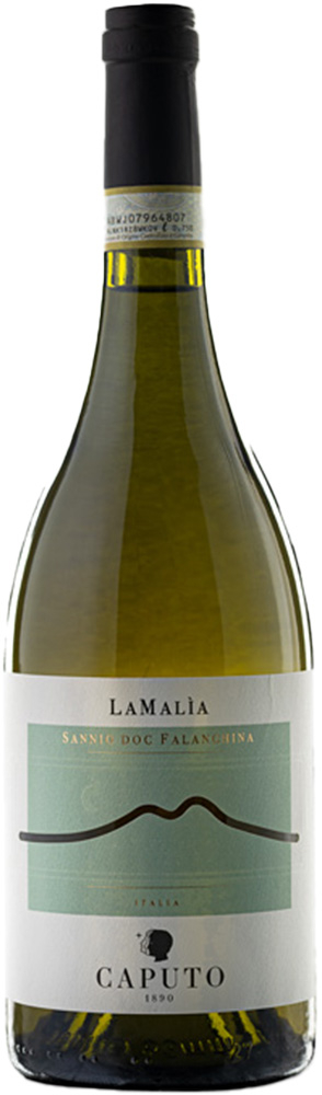 Caputo 1890 2021 Lamalìa Falanghina Sannio DOC trocken