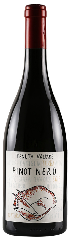 Tenuta Volpare 2019 Pinot Nero Trentino DOC trocken