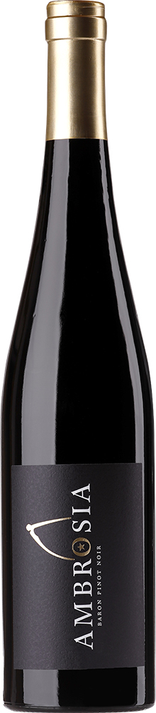 Alois Kiefer 2016 Pinot Noir Kirchberg trocken