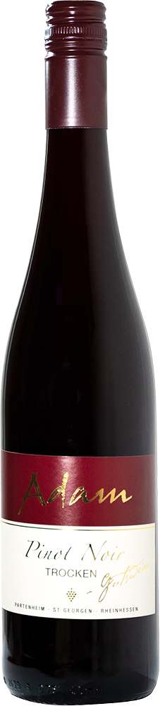 Adam 2018 Pinot Noir Gutswein trocken